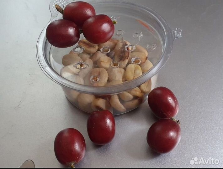 Кофейное дерево