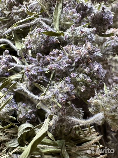 Набор для творчества