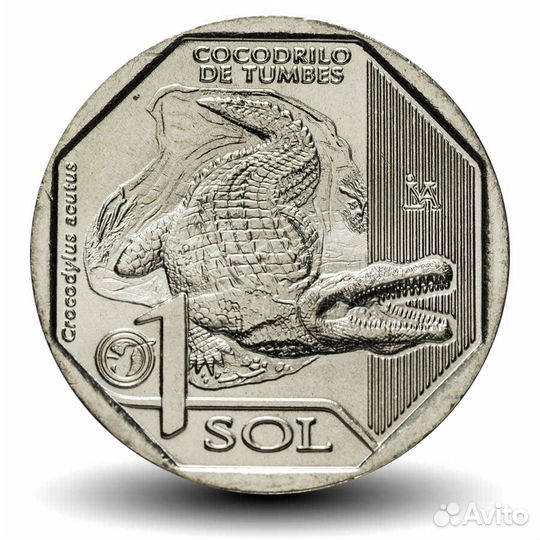 Монеты Перу Красная книга, животные, Андская кошка