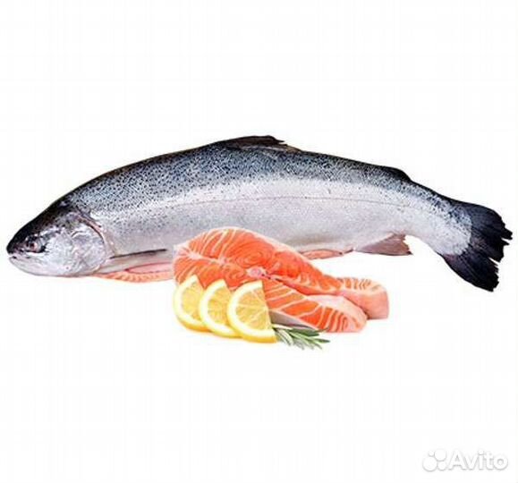 Рыба семга (лосось), икра горбуши