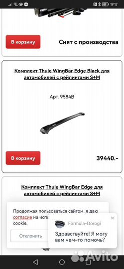 Поперечины на рейлинги thule 9584B