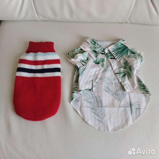 Одежда для животных