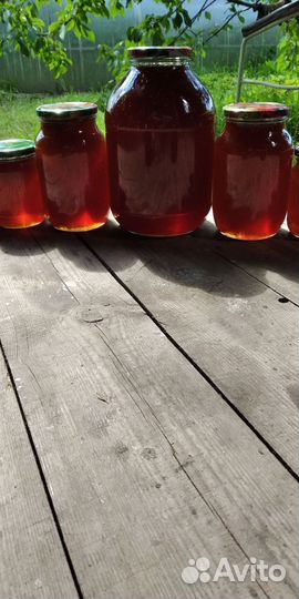 Мед из леса