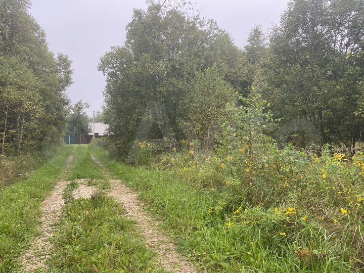 Участок 11 сот. (СНТ, ДНП)