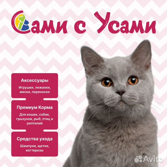 Royal canin Mini Adult Корм сух.д/мелких собак