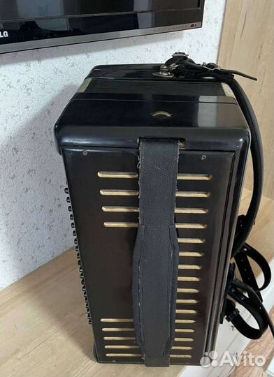 Баян ясная поляна