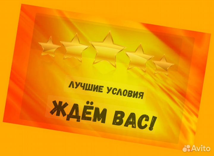 Наборщик заказов Без опыта Еженедельные выплаты