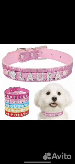 Ошейник с любой кличкой на заказ