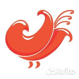 Начальник отдела охраны труда,экологии и го и чс