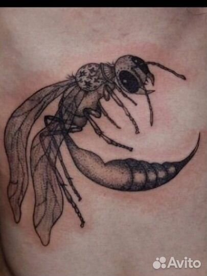 Тату мастер