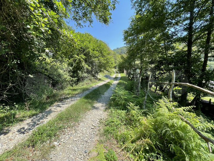 Участок 5 сот. (СНТ, ДНП)