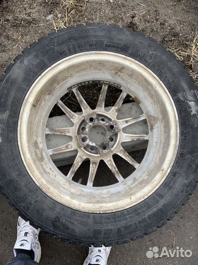 Gislaved Euro Frost 2 195/55 R15