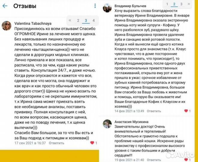 Ветеринарный врач на дом. Ветеринар