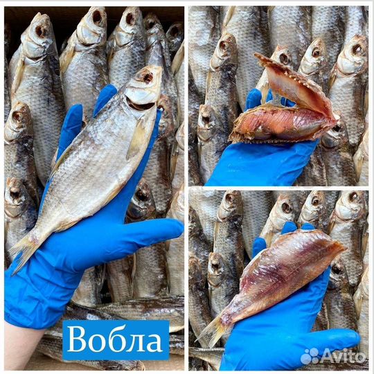 Астраханская вобла вяленая
