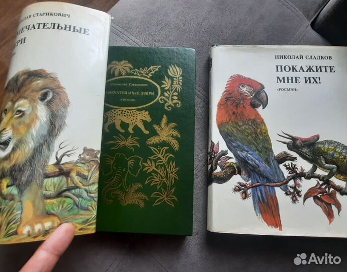 Познавательные книги