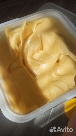 Мед донниковый