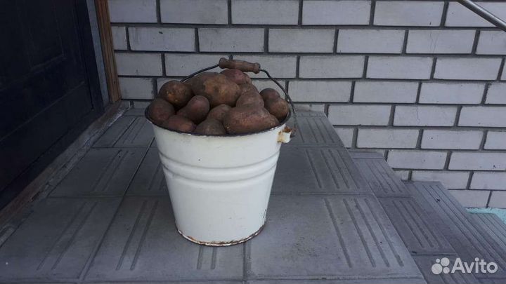 Продукты питания