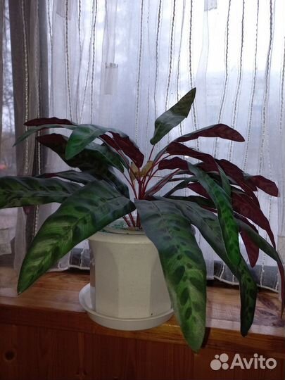 Цветы для декора