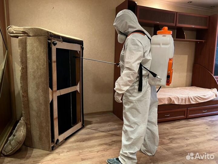 Уничтожение клопов, травить тараканов. Дезинфекция