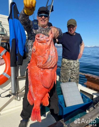 Глубоководная рыбалка. Тур по Камчатке