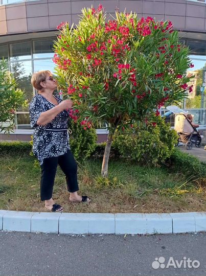 Няня для детей. На своей территории. Час/день