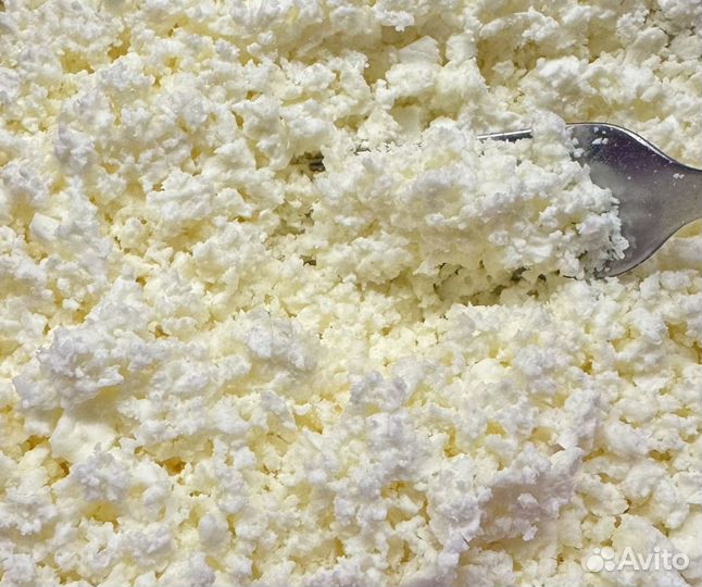 Творог домашний