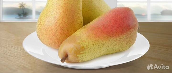 Крупномеры яблонь, груш, слив, черешни, абрикоса