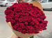 101 роза Эквадор 70 см цветы доставка