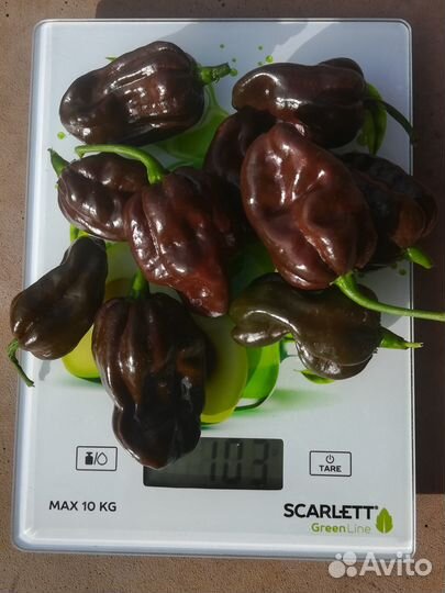 Острый перец Хабанеро