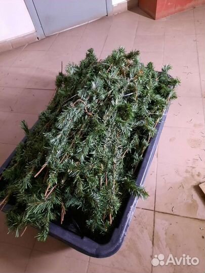 Еловые ветки искусственные