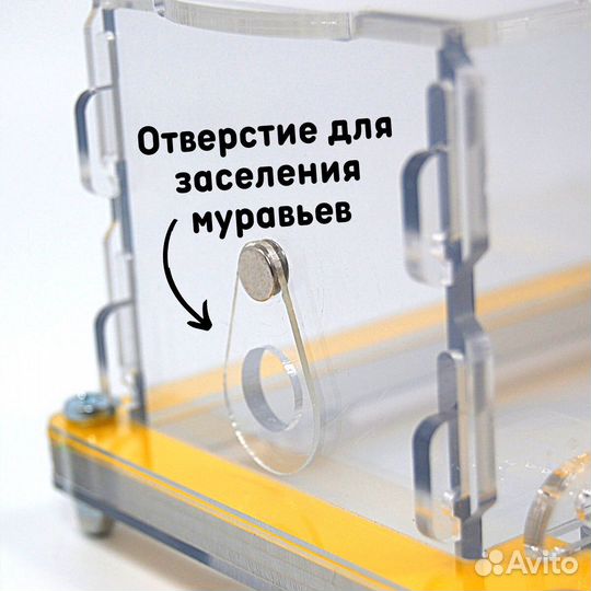 Муравьиная ферма 