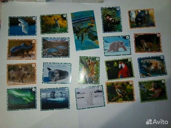 Наклейки «Живая планета» 4р