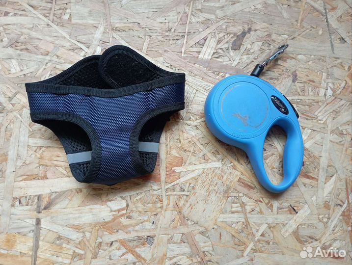 Шлейка и рулетка 3 м для мелких пород