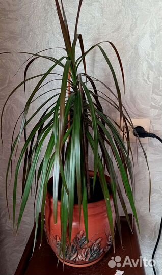 Цветочный горшок напольный