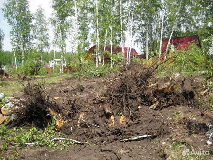 Спил деревьев,покос травы, борщевик,удаление