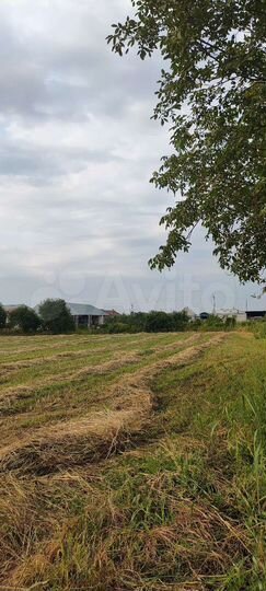 Участок 15 сот. (ИЖС)