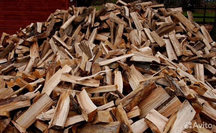 Дрова осина