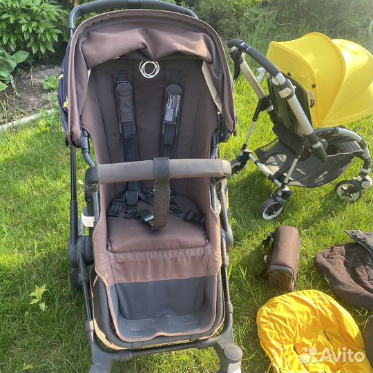 Bugaboo buffalo bee3