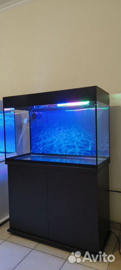 Аквариум 220 свет биофильтр фон подставка