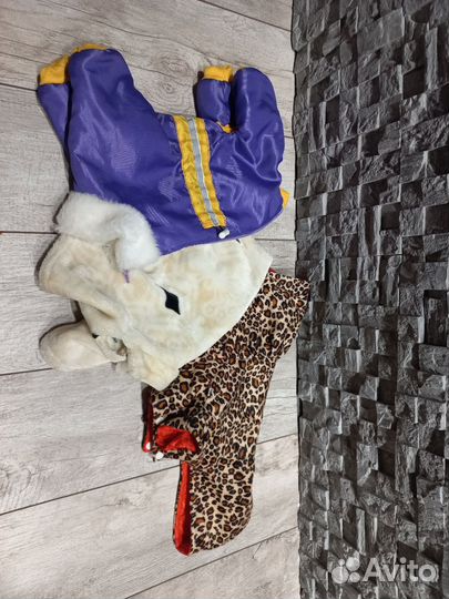 Одежда для собак мелких пород