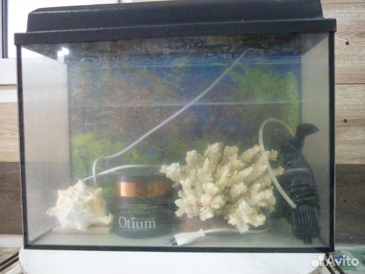 Аквариум