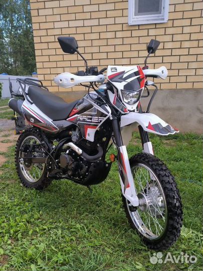 Рейсер пантер 250