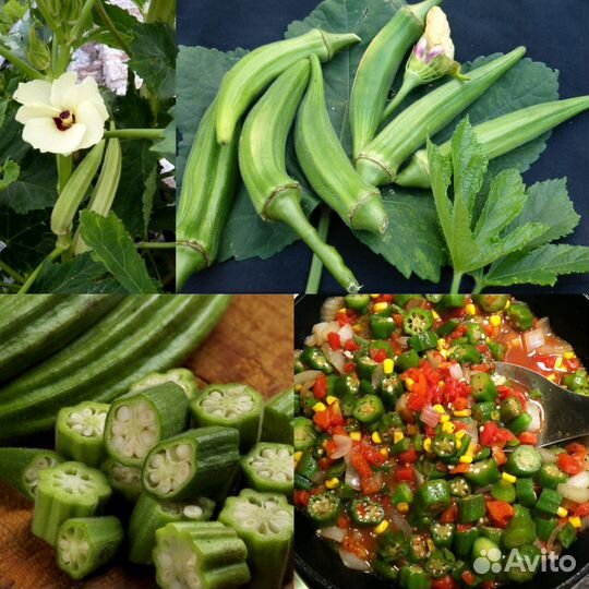 Семена бамии (2023г.)