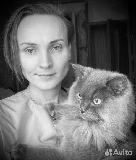 Ветеринарный врач Ветеринар Круглосуточно 24 часа