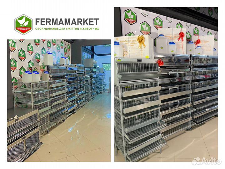 Клетки для перепелов Воскресенск
