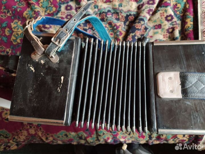 Музыкальный инструмент Баян