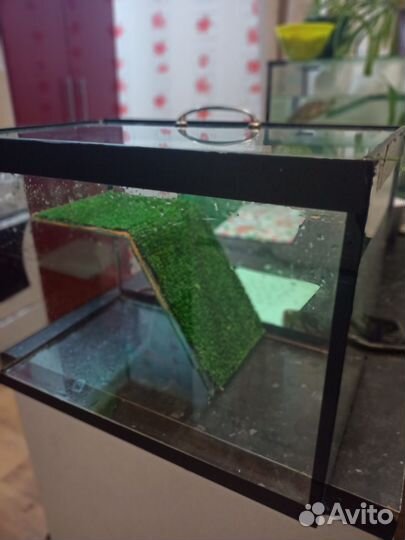 Аквариум черепашник