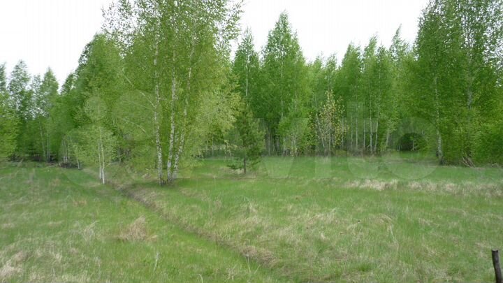 Участок 12 сот. (СНТ, ДНП)