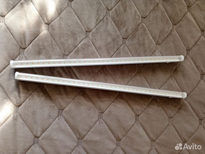 Фитолампа для растений