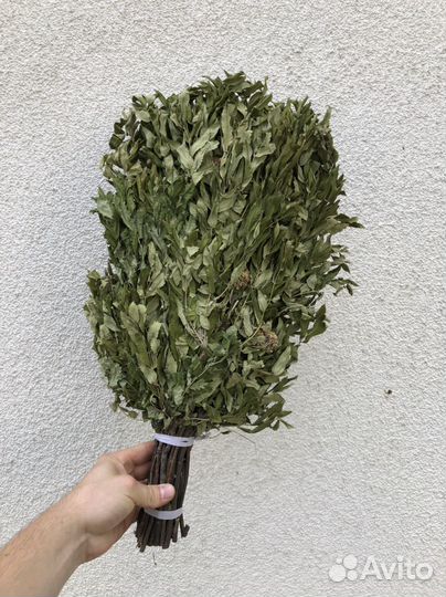 Веник рябиновый для бани